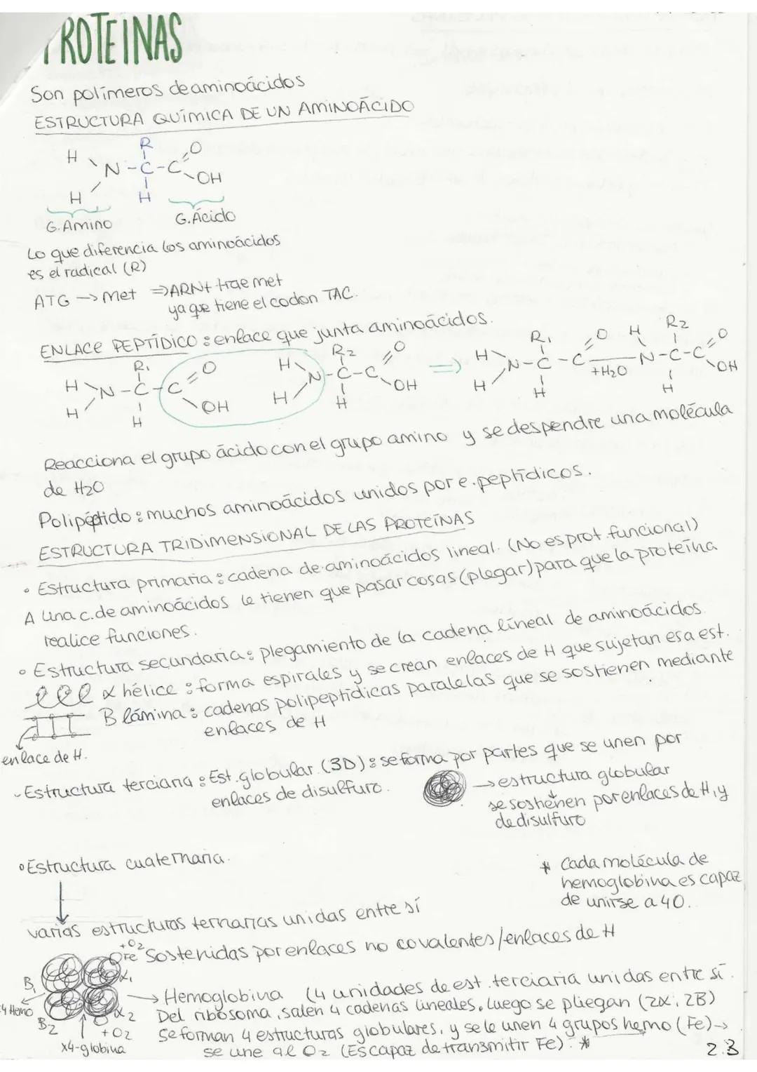 //T.2 Biequívhica
BIOELEMENTOSe aquellos elementos de la tabla periódica que forman parte de
la materia viva.
Primarios (98%): C. O, H, N, P