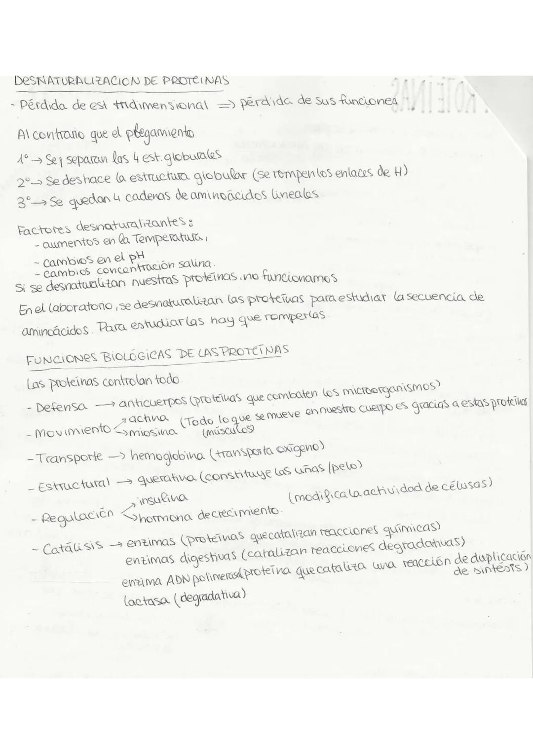 //T.2 Biequívhica
BIOELEMENTOSe aquellos elementos de la tabla periódica que forman parte de
la materia viva.
Primarios (98%): C. O, H, N, P