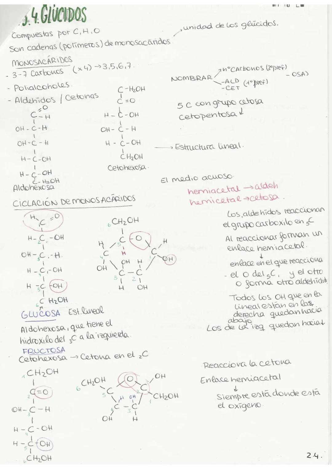 //T.2 Biequívhica
BIOELEMENTOSe aquellos elementos de la tabla periódica que forman parte de
la materia viva.
Primarios (98%): C. O, H, N, P