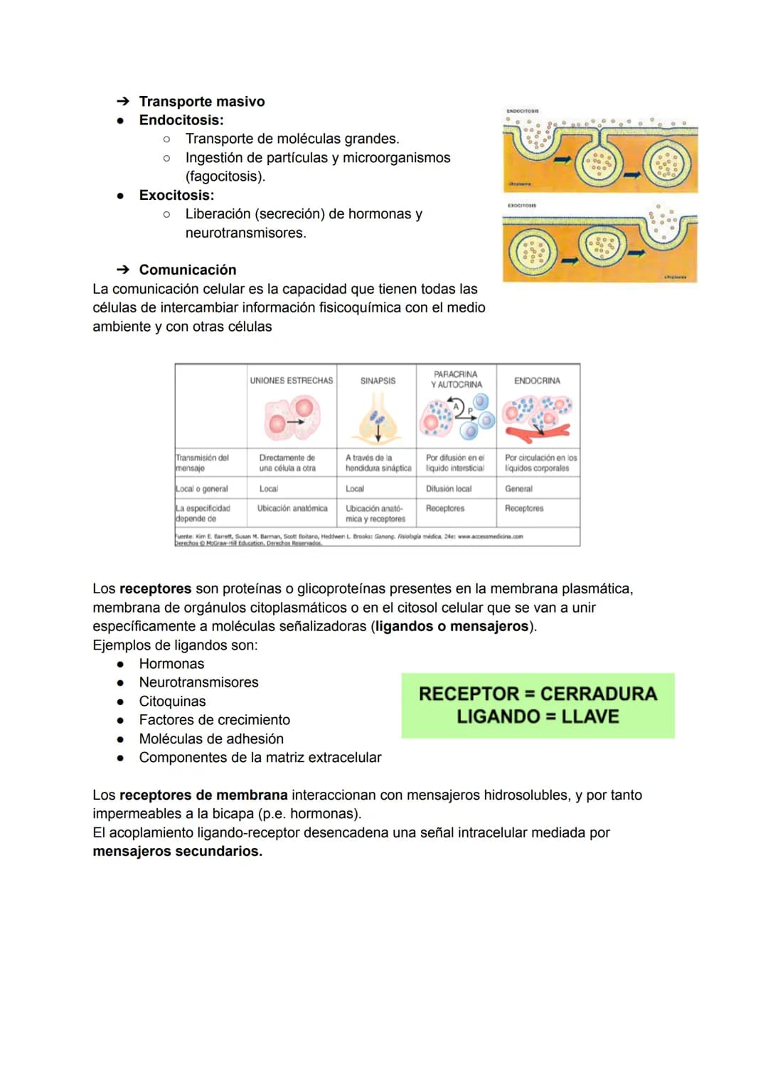 TEMA 2: LA MEMBRANA PLASMÁTICA
La membrana plasmática es la barrera física que separa el líquido intracelular (LIC) del
extracelular (LEC). 