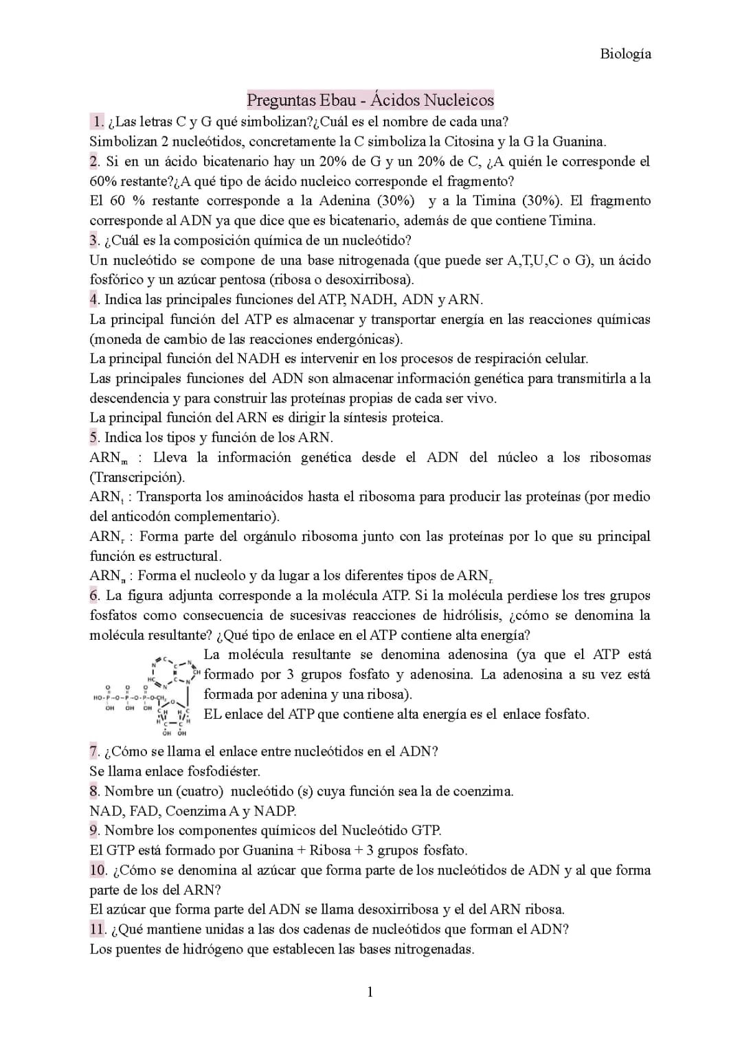 Descubre el Simbolismo de Citosina y Guanina en el ADN y sus Funciones