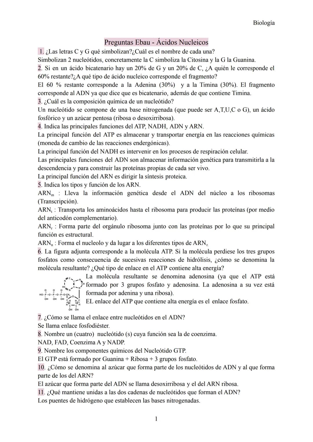 Preguntas Ebau - Ácidos Nucleicos
1. ¿Las letras C y G qué simbolizan? ¿Cuál es el nombre de cada una?
Simbolizan 2 nucleótidos, concretamen
