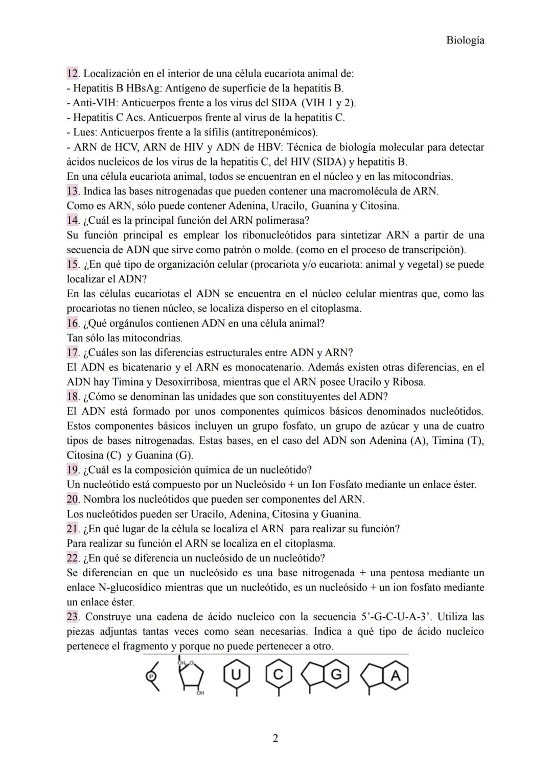 Preguntas Ebau - Ácidos Nucleicos
1. ¿Las letras C y G qué simbolizan? ¿Cuál es el nombre de cada una?
Simbolizan 2 nucleótidos, concretamen