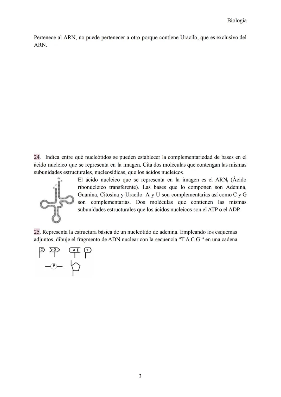 Preguntas Ebau - Ácidos Nucleicos
1. ¿Las letras C y G qué simbolizan? ¿Cuál es el nombre de cada una?
Simbolizan 2 nucleótidos, concretamen