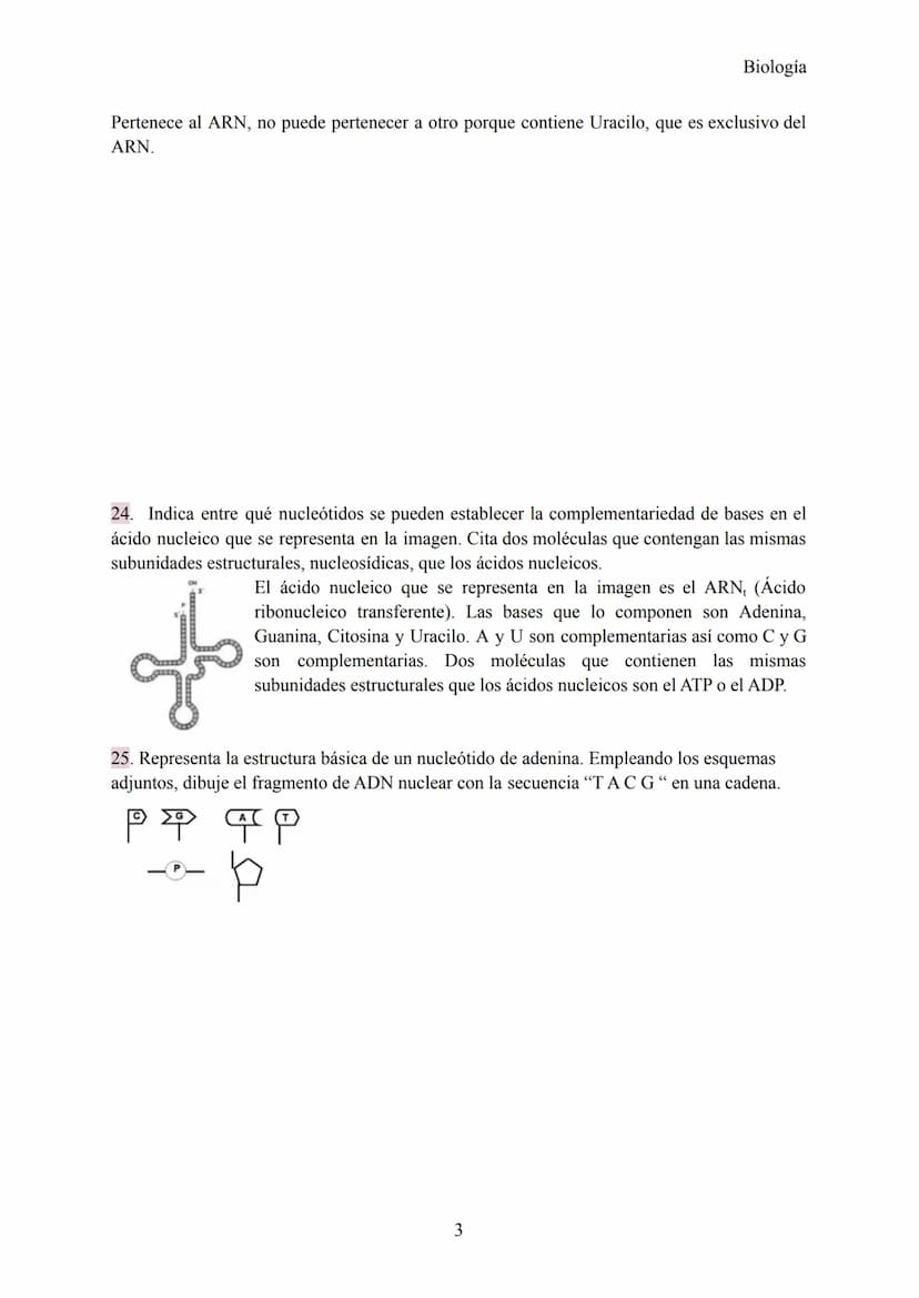 Preguntas Ebau - Ácidos Nucleicos
1. ¿Las letras C y G qué simbolizan? ¿Cuál es el nombre de cada una?
Simbolizan 2 nucleótidos, concretamen