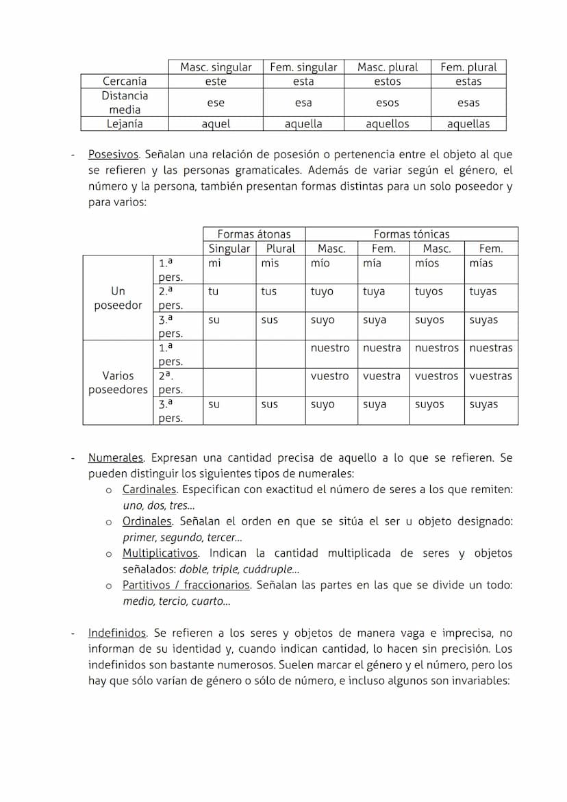LAS CATEGORÍAS GRAMATICALES
El sustantivo
Los sustantivos (también llamados nombres) son palabras con las que designamos y
clasificamos los 