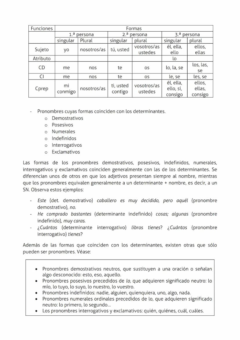 LAS CATEGORÍAS GRAMATICALES
El sustantivo
Los sustantivos (también llamados nombres) son palabras con las que designamos y
clasificamos los 