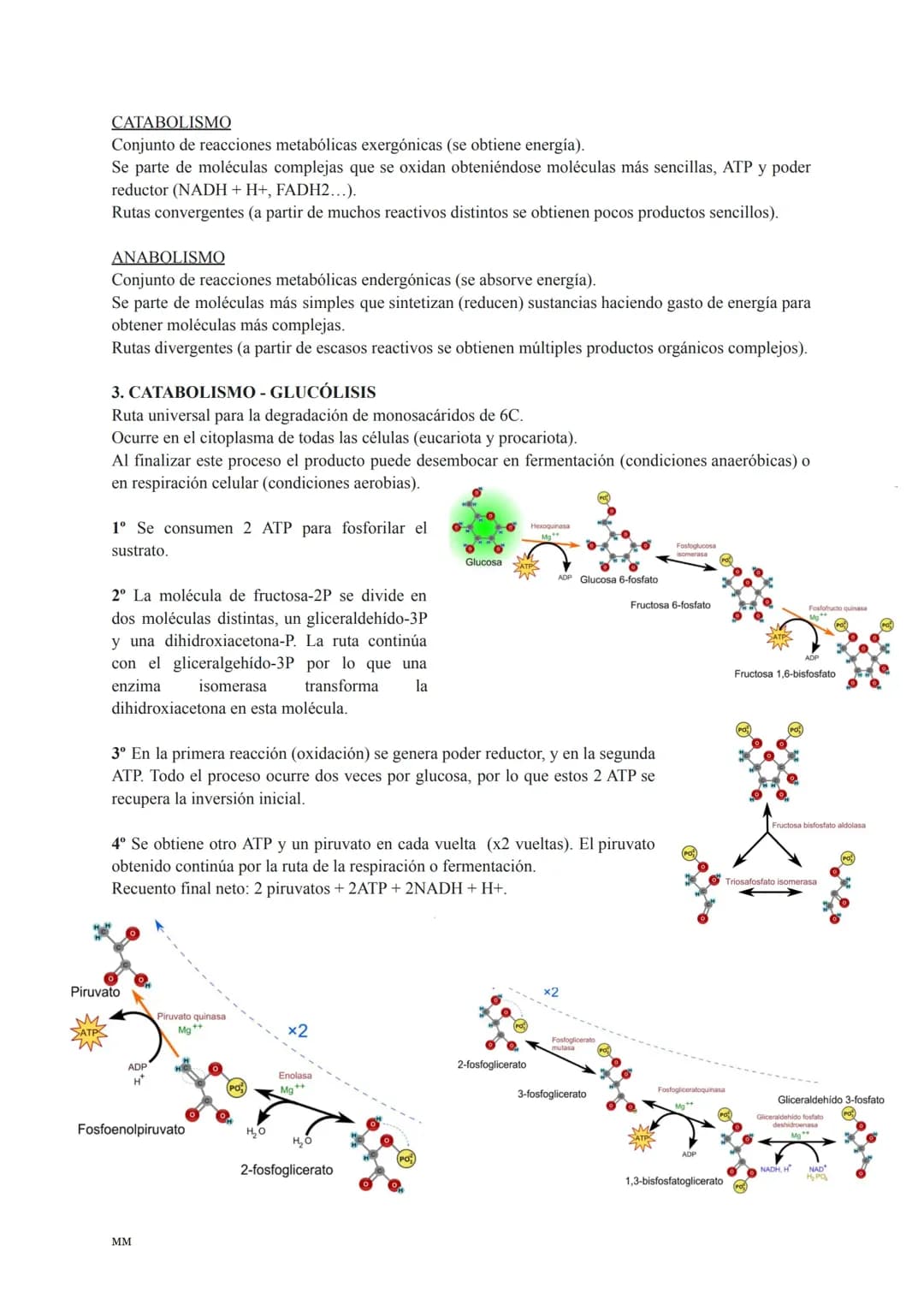 Biología 5