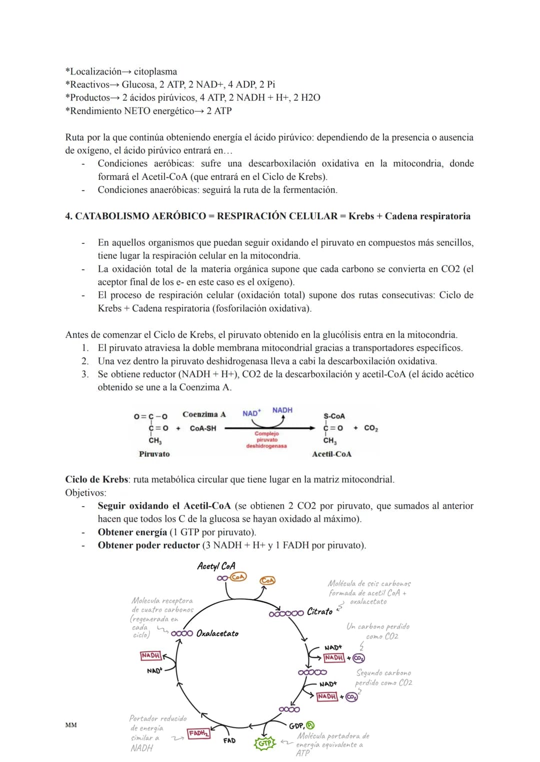 CATABOLISMO
Conjunto de reacciones metabólicas exergónicas (se obtiene energía).
Se parte de moléculas complejas que se oxidan obteniéndose 