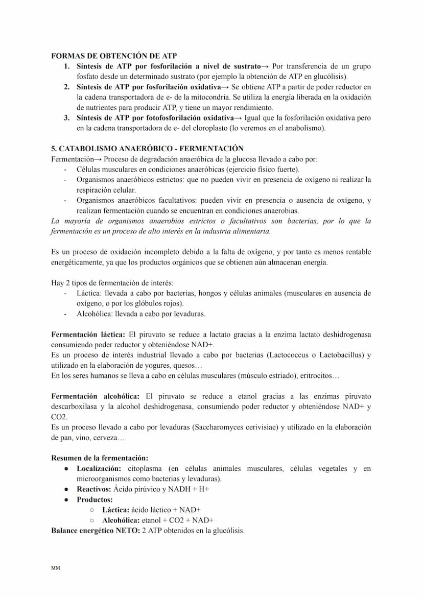 CATABOLISMO
Conjunto de reacciones metabólicas exergónicas (se obtiene energía).
Se parte de moléculas complejas que se oxidan obteniéndose 