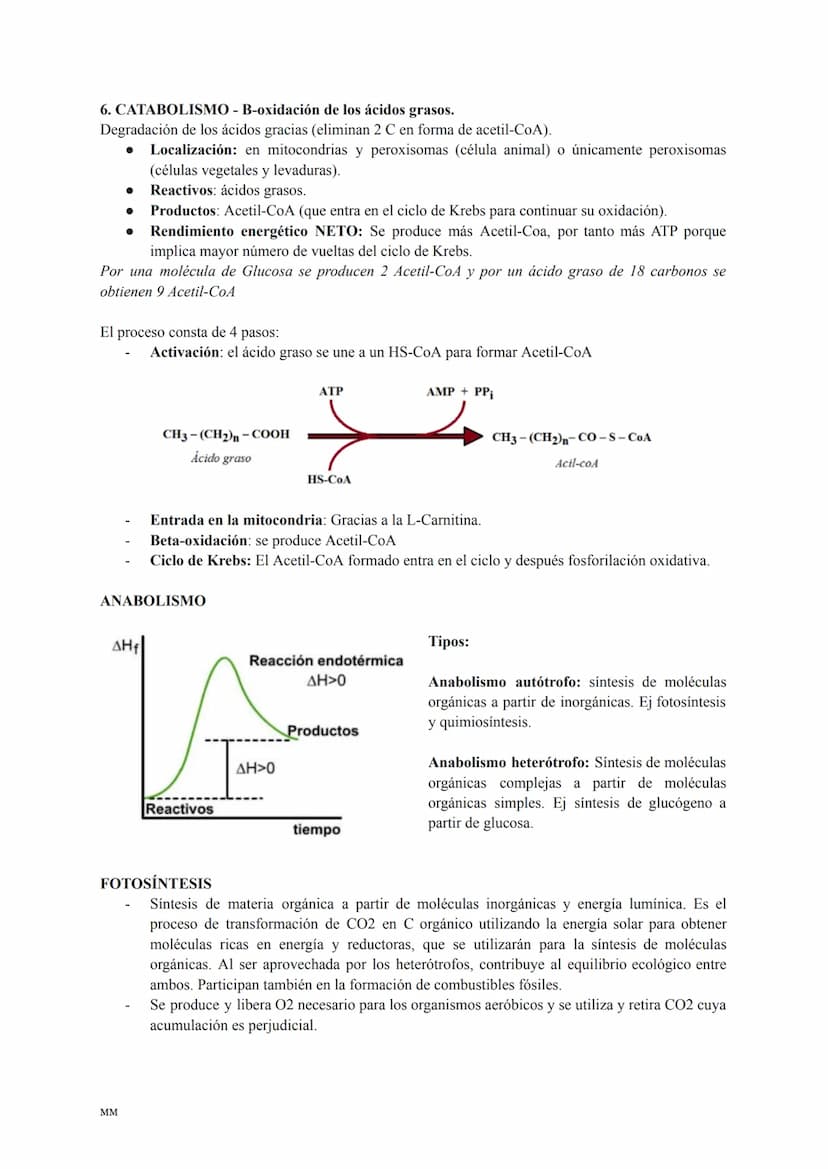 CATABOLISMO
Conjunto de reacciones metabólicas exergónicas (se obtiene energía).
Se parte de moléculas complejas que se oxidan obteniéndose 