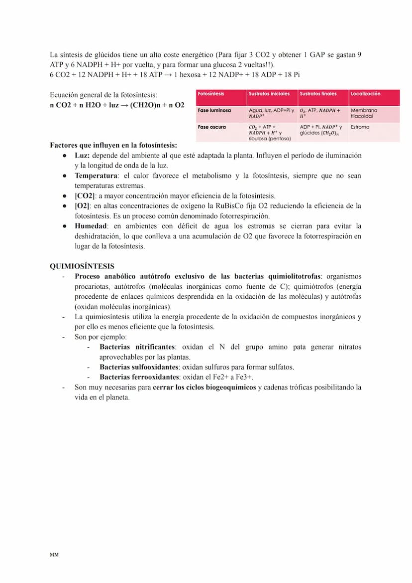 CATABOLISMO
Conjunto de reacciones metabólicas exergónicas (se obtiene energía).
Se parte de moléculas complejas que se oxidan obteniéndose 