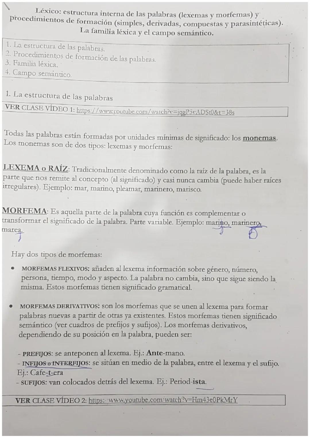 Estructura interna de las palabras
