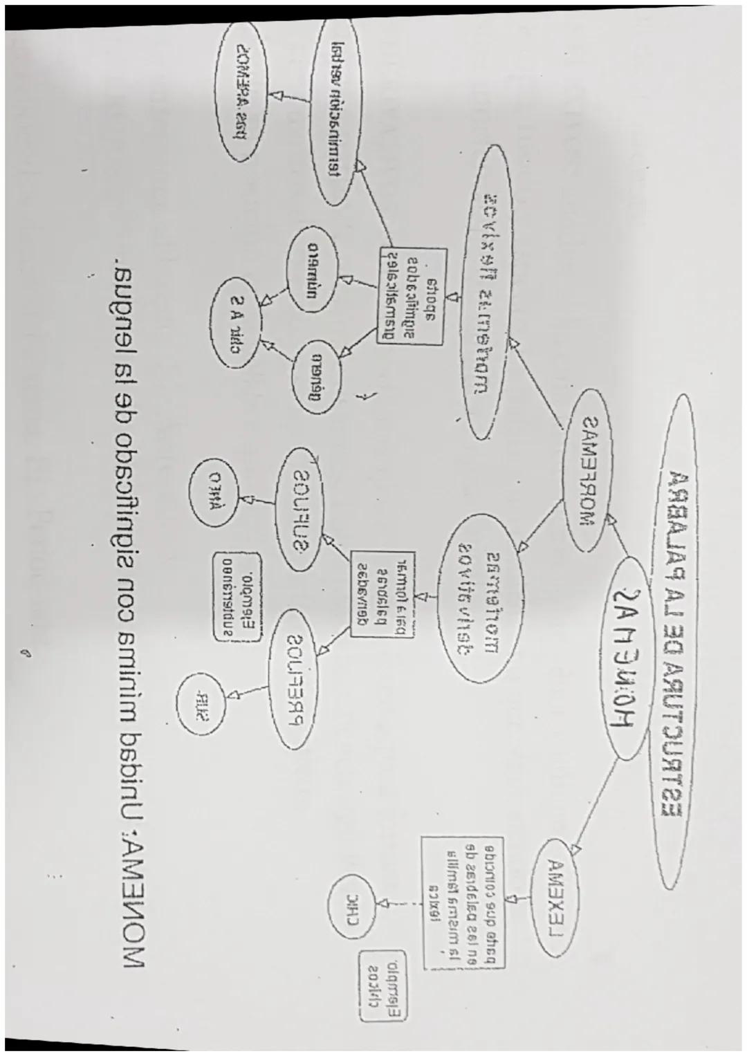 # Léxico: estructura interna de las palabras (lexemas y morfemas) y
procedimientos de formación (simples, derivadas, compuestas y parasintét