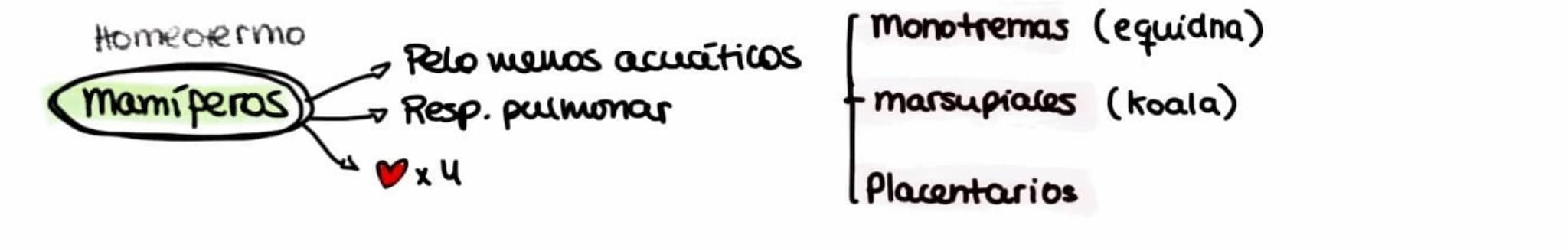 -1.
Tema 5
{1. Diversidad biologica y evolucion
Clave para biodiv.
Darwin
→ Lamarck
monet
• Teoria de Darwm : basada en selección natural
Ha