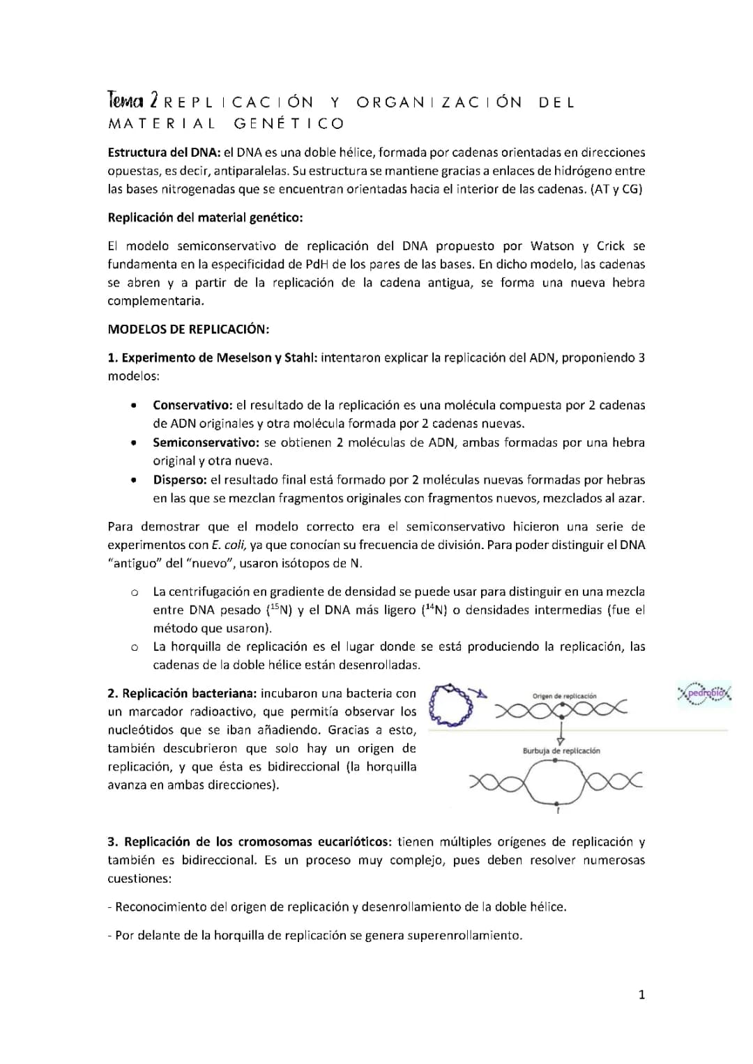 Replicación DNA
