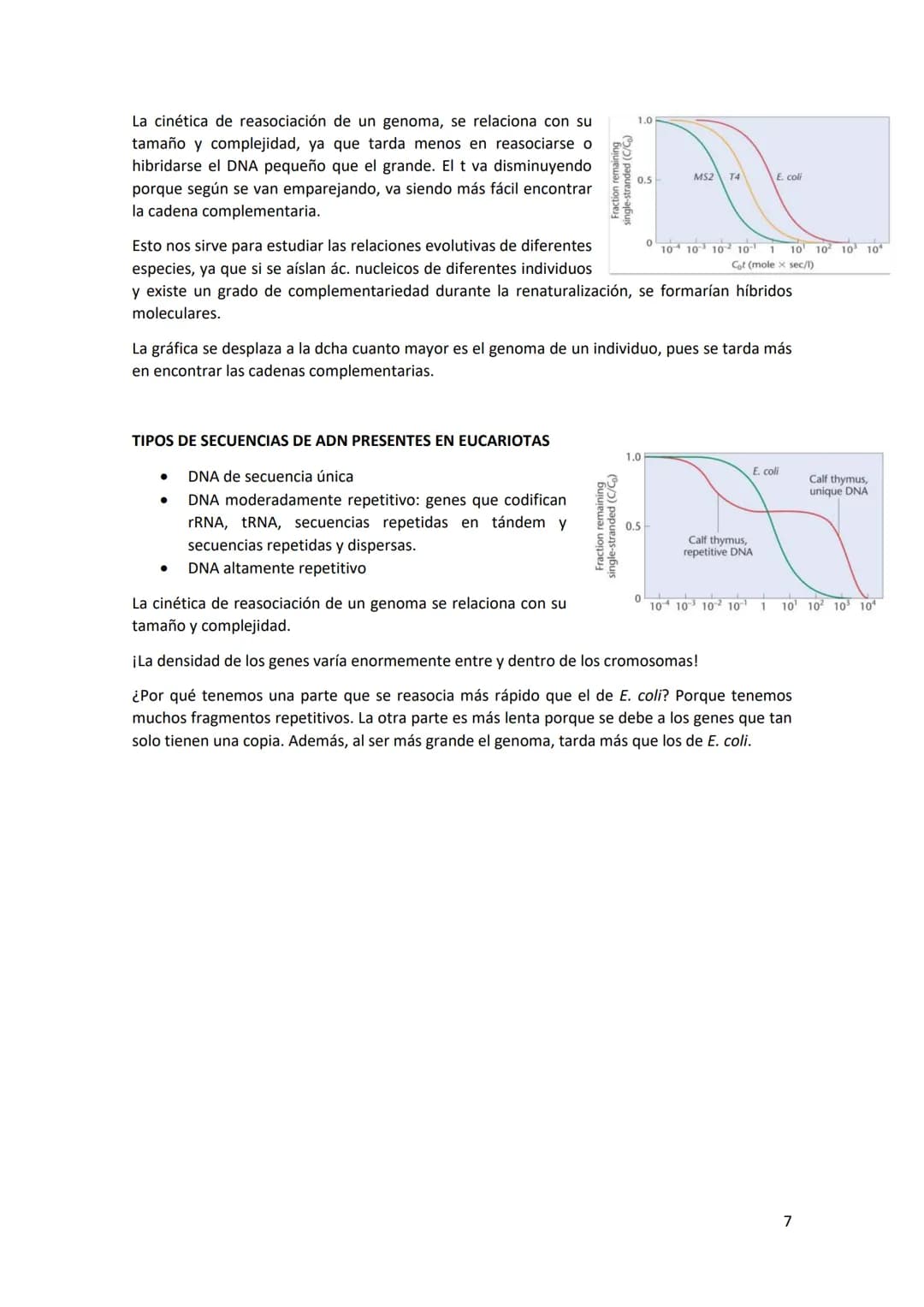 Tema 2 REPLICACIÓN Y ORGANIZACIÓN DEL
MATERIAL GENÉTICO
Estructura del DNA: el DNA es una doble hélice, formada por cadenas orientadas en di