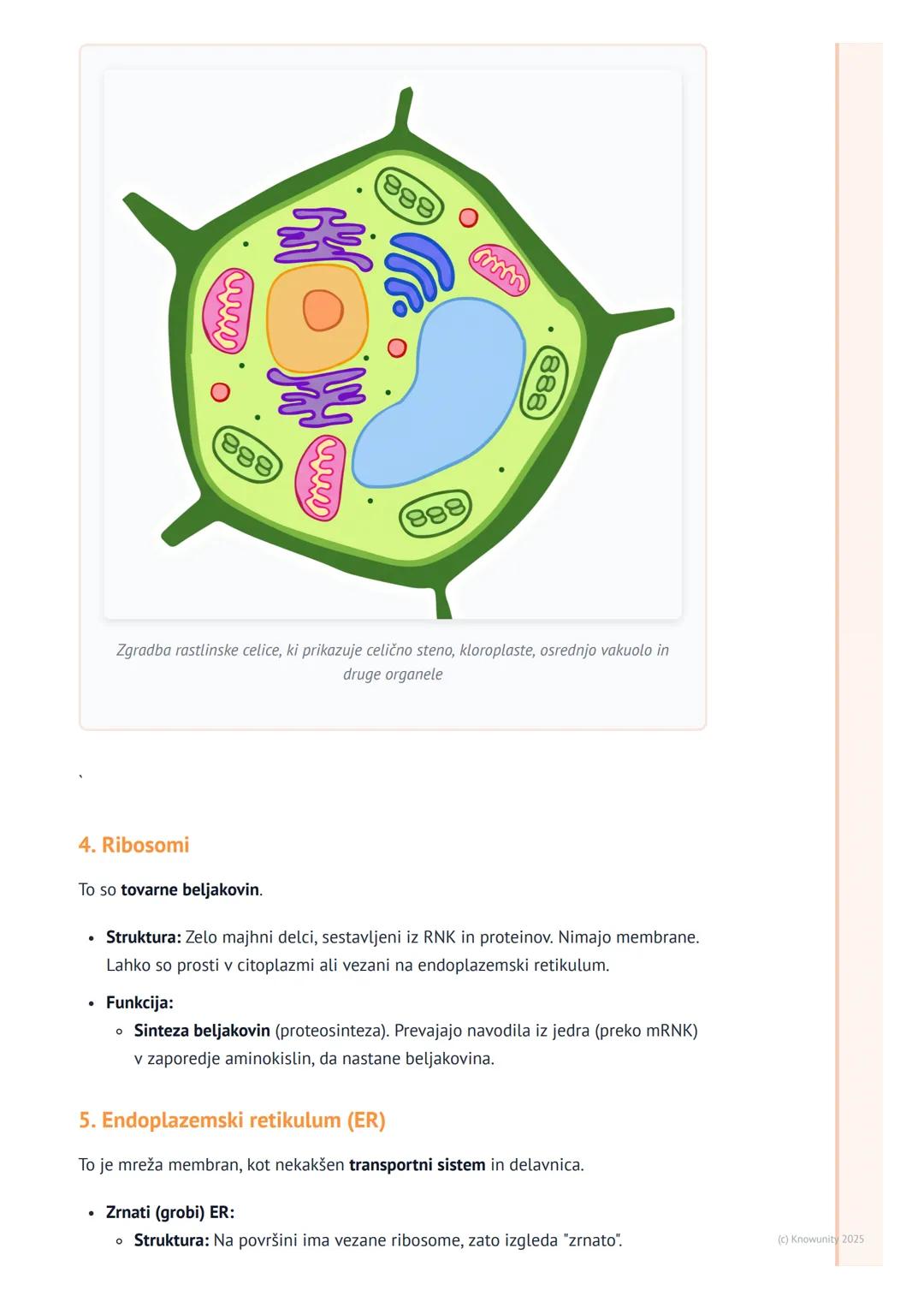 # Celični organeli in njihove funkcije

Uvod v celične organele

Celični organeli so kot majhni "organi" znotraj celice. Vsak ima svojo spec