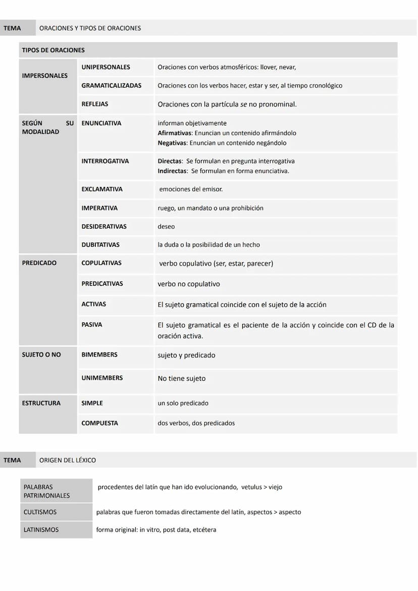 
<p>En el campo de la morfología, es importante tener en cuenta la formación de palabras, especialmente en la morfología nominal, pronominal