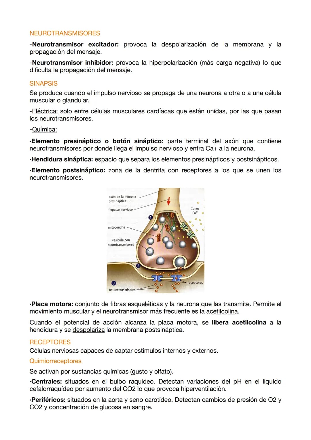 EXAMEN ANATOMÍA 4
El sistema nervioso funciona mediante a los siguientes elementos:
.Entrada sensorial: permite reconocer y transmitir infor