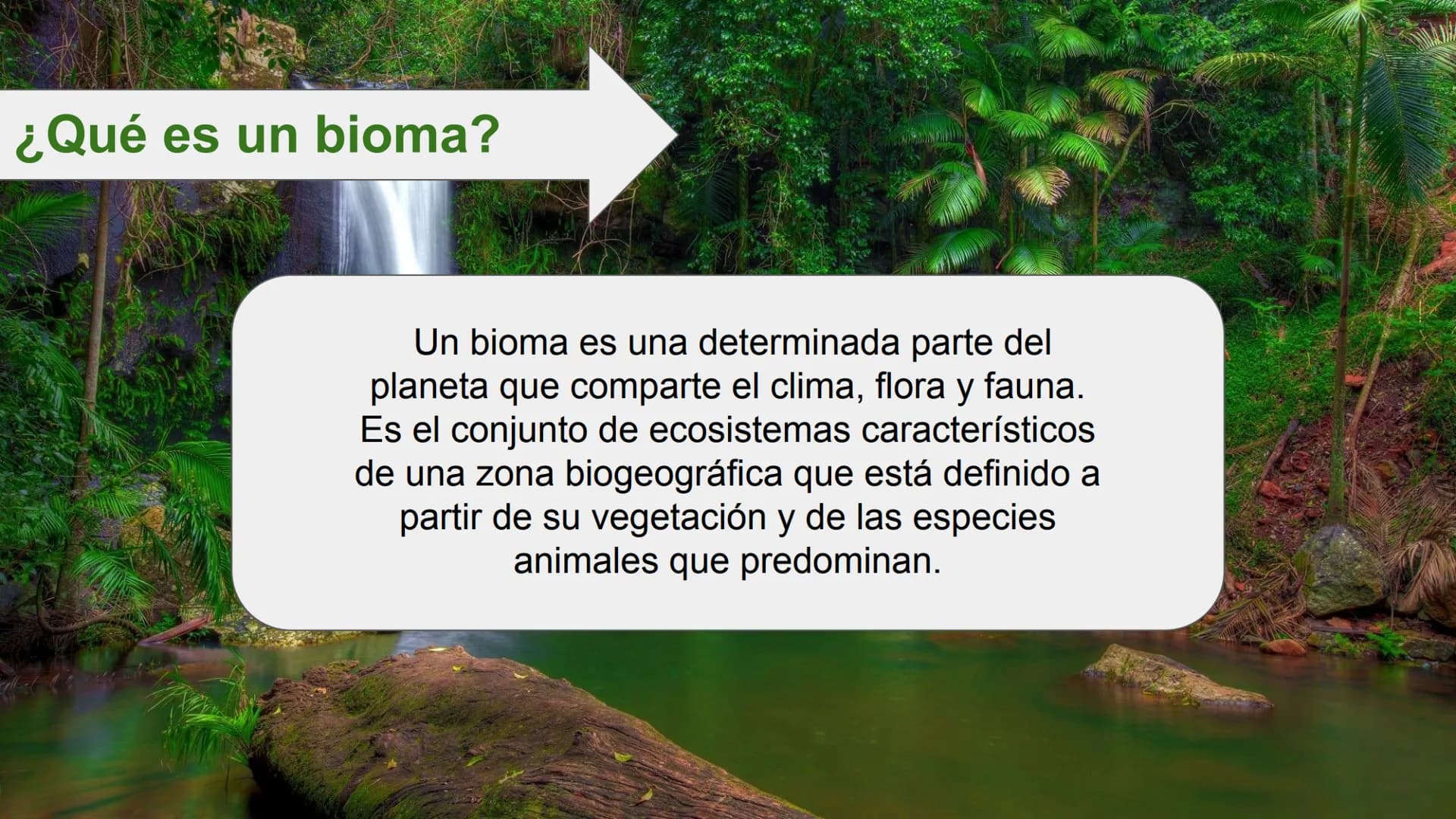 LOS BIOMAS 1. Definición de bioma
2. Clasificación de los biomas:
Tundra
Taiga
Bosque caducifolio
Bosque mediterráneo
Estepa
Desierto
Sabana