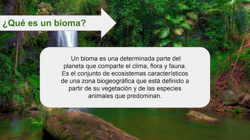 LOS BIOMAS 1. Definición de bioma
2. Clasificación de los biomas:
Tundra
Taiga
Bosque caducifolio
Bosque mediterráneo
Estepa
Desierto
Sabana