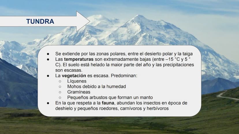 LOS BIOMAS 1. Definición de bioma
2. Clasificación de los biomas:
Tundra
Taiga
Bosque caducifolio
Bosque mediterráneo
Estepa
Desierto
Sabana