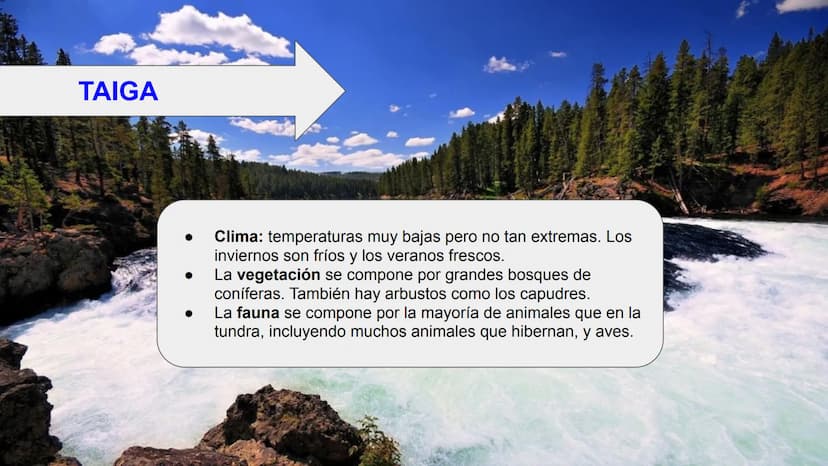 LOS BIOMAS 1. Definición de bioma
2. Clasificación de los biomas:
Tundra
Taiga
Bosque caducifolio
Bosque mediterráneo
Estepa
Desierto
Sabana
