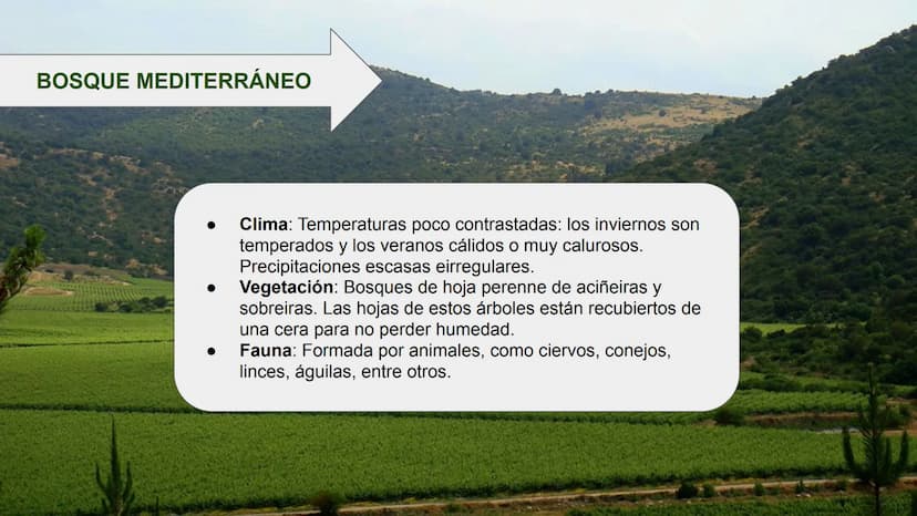 LOS BIOMAS 1. Definición de bioma
2. Clasificación de los biomas:
Tundra
Taiga
Bosque caducifolio
Bosque mediterráneo
Estepa
Desierto
Sabana