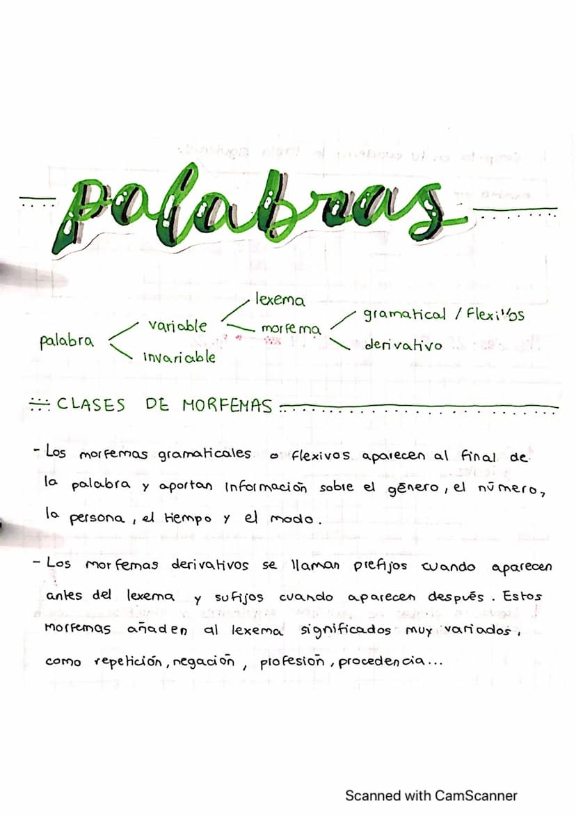 finocam
texto TEXTO texto
• Deben ser coherentes (todo lo
que dice ha de tener relación
debe
con el tema principal y
estar ordenado.
O
bra o