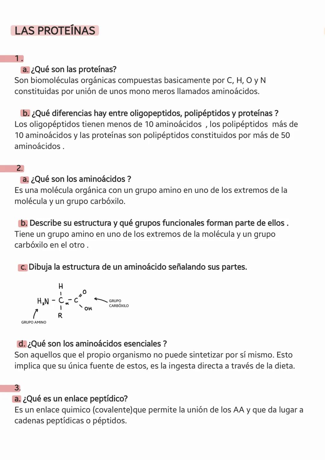 LAS
PROTEÍNAS LAS PROTEÍNAS
a. ¿Qué son las proteínas?
Son biomoléculas orgánicas compuestas basicamente por C, H, OYN
constituidas por unió