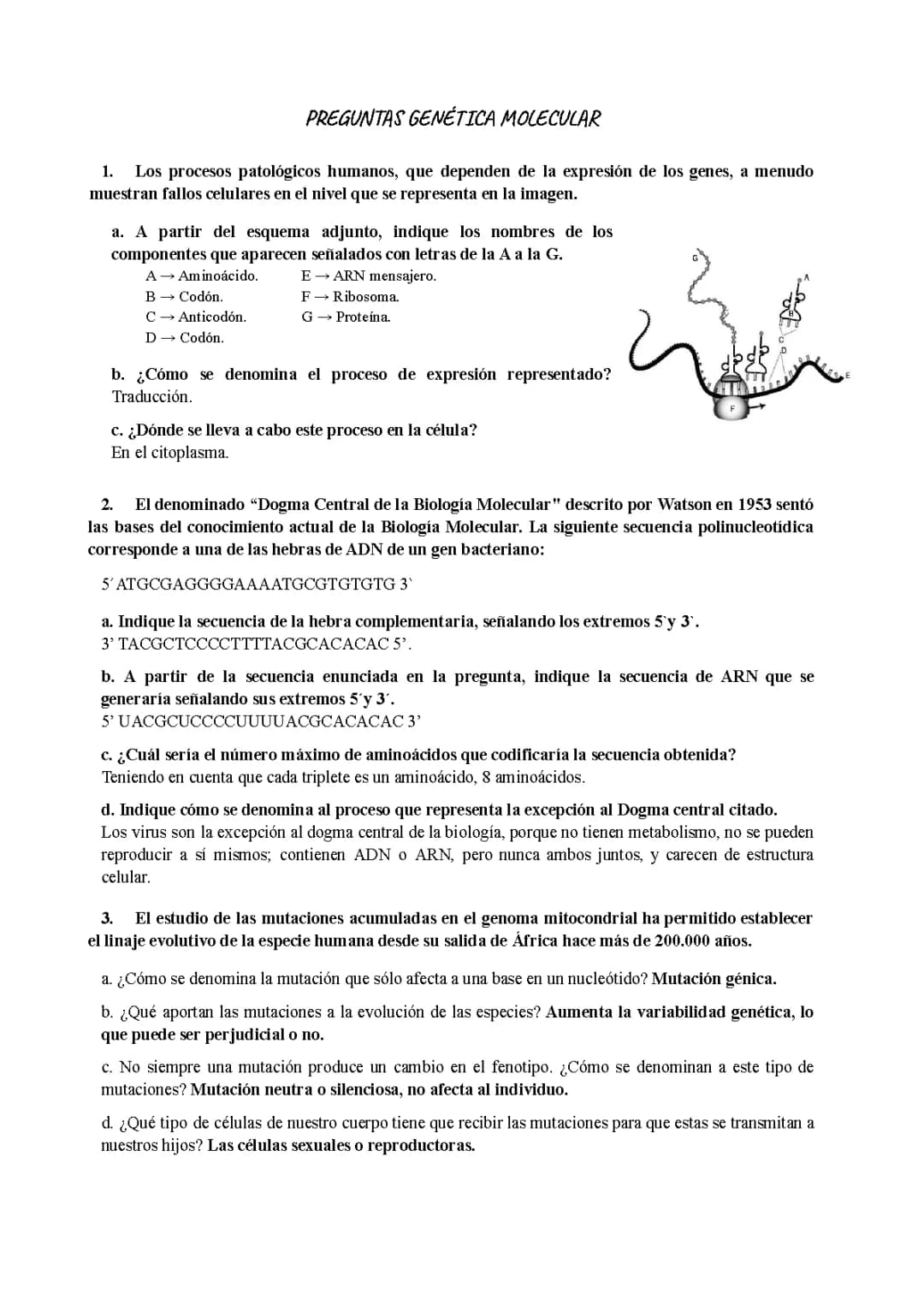 Preguntas tipo EBAU Biología - Genética Molecular