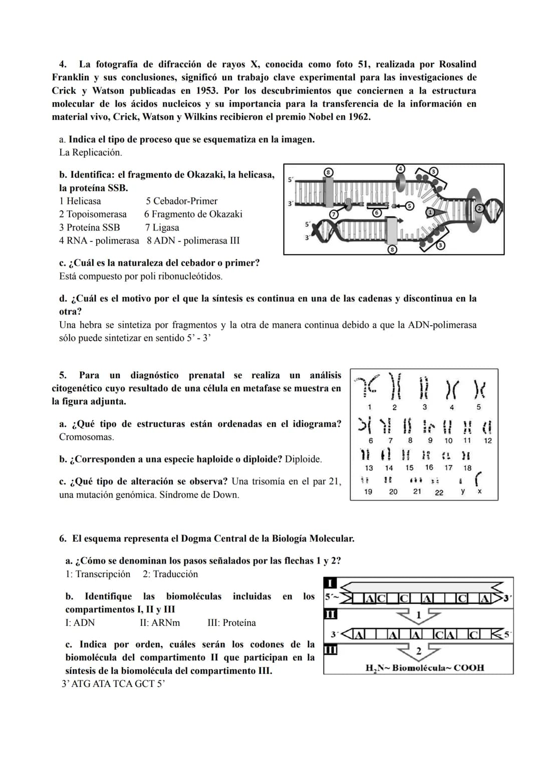 PREGUNTAS GENÉTICA MOLECULAR
1. Los procesos patológicos humanos, que dependen de la expresión de los genes, a menudo
muestran fallos celula