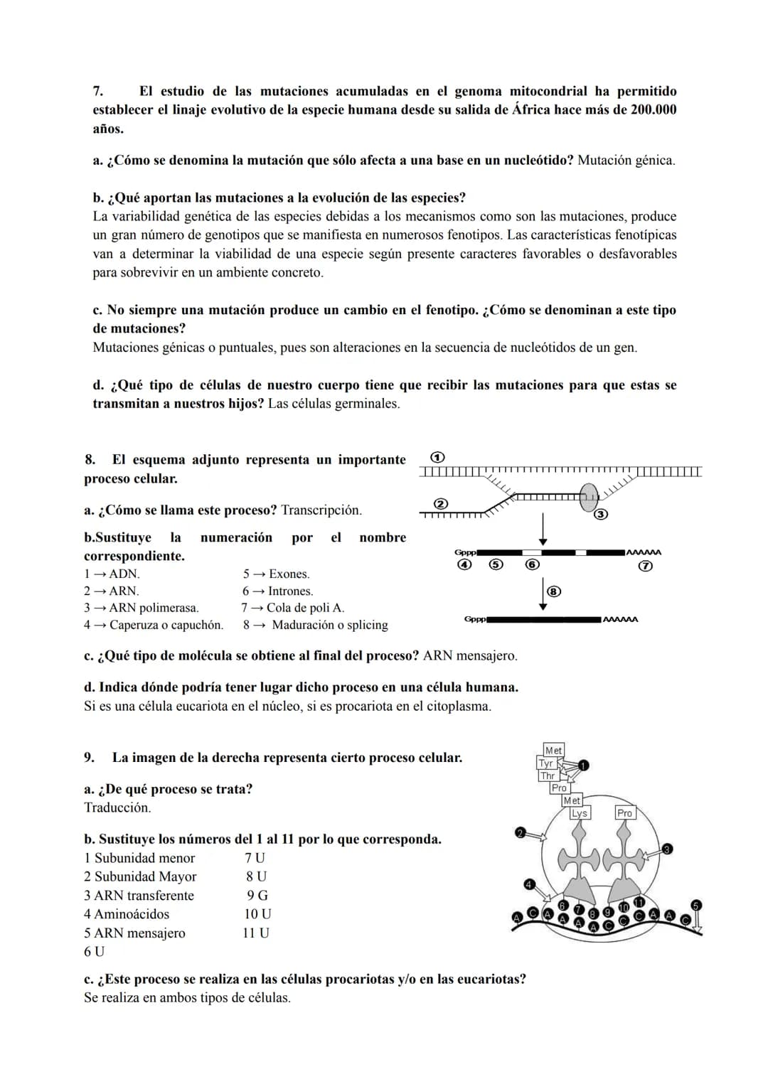 PREGUNTAS GENÉTICA MOLECULAR
1. Los procesos patológicos humanos, que dependen de la expresión de los genes, a menudo
muestran fallos celula