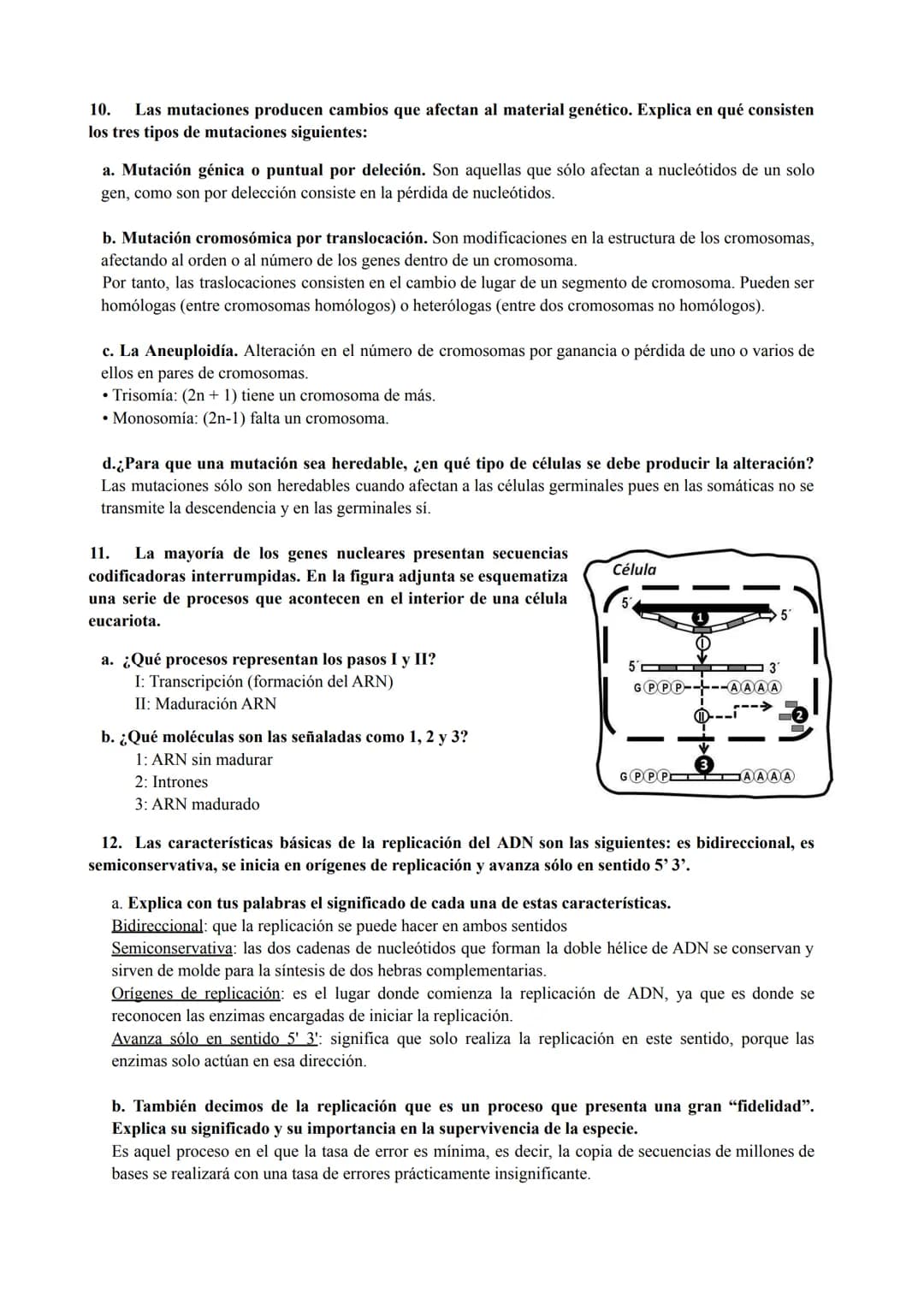PREGUNTAS GENÉTICA MOLECULAR
1. Los procesos patológicos humanos, que dependen de la expresión de los genes, a menudo
muestran fallos celula