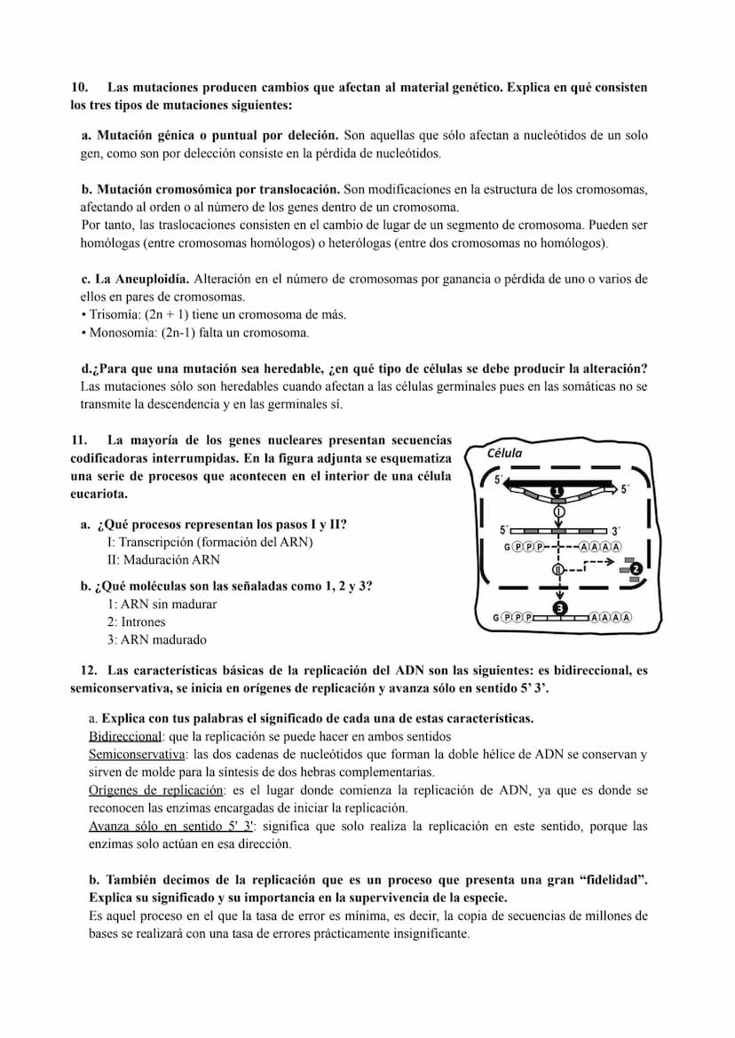 PREGUNTAS GENÉTICA MOLECULAR
1. Los procesos patológicos humanos, que dependen de la expresión de los genes, a menudo
muestran fallos celula