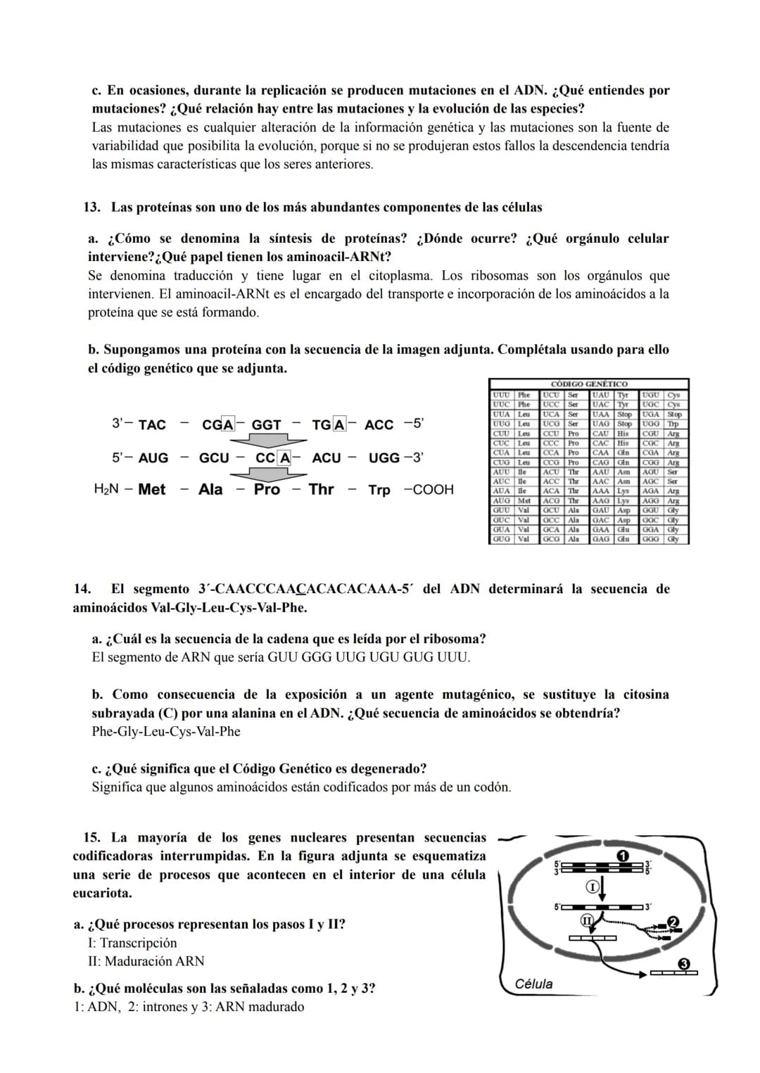 PREGUNTAS GENÉTICA MOLECULAR
1. Los procesos patológicos humanos, que dependen de la expresión de los genes, a menudo
muestran fallos celula