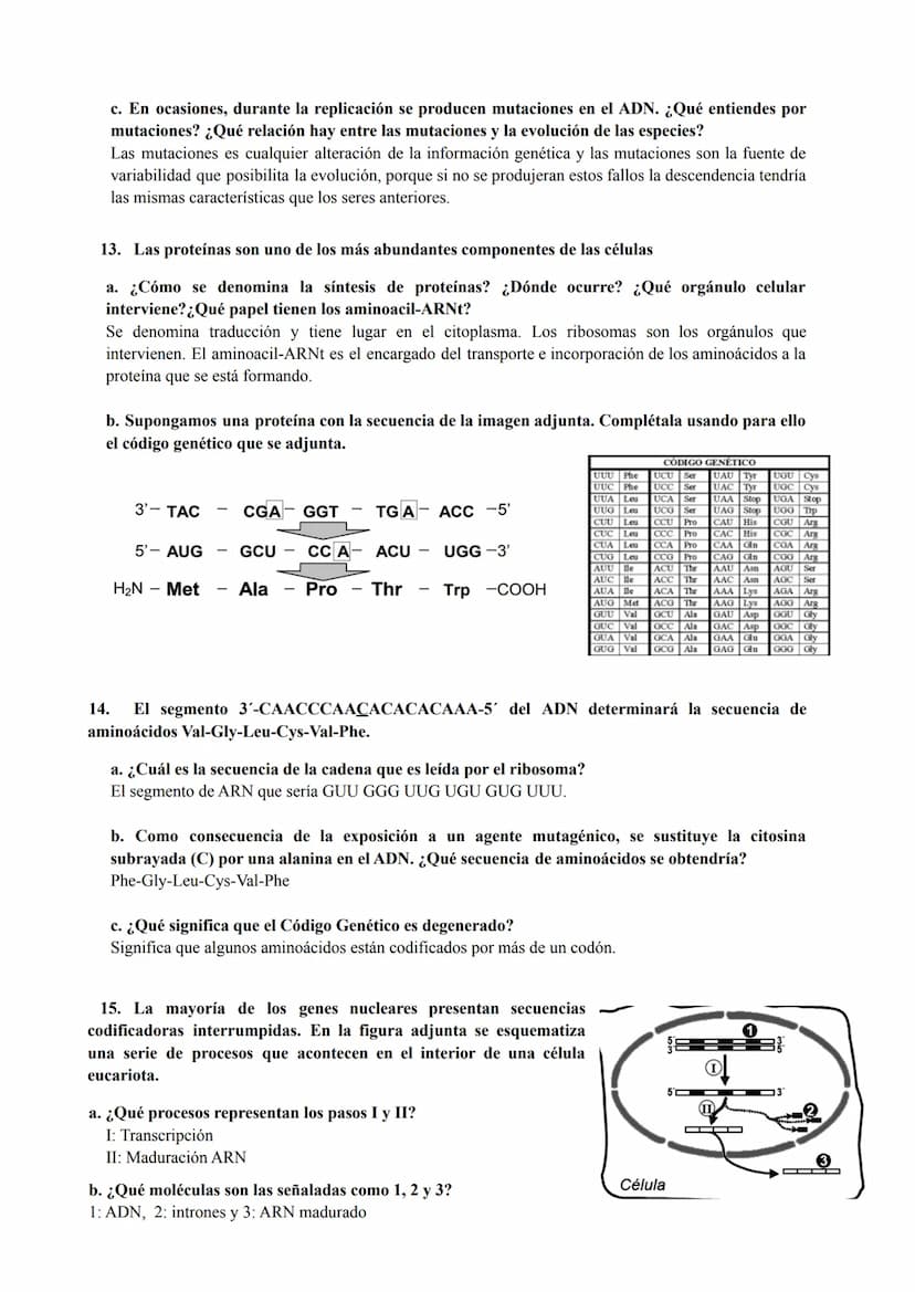 PREGUNTAS GENÉTICA MOLECULAR
1. Los procesos patológicos humanos, que dependen de la expresión de los genes, a menudo
muestran fallos celula