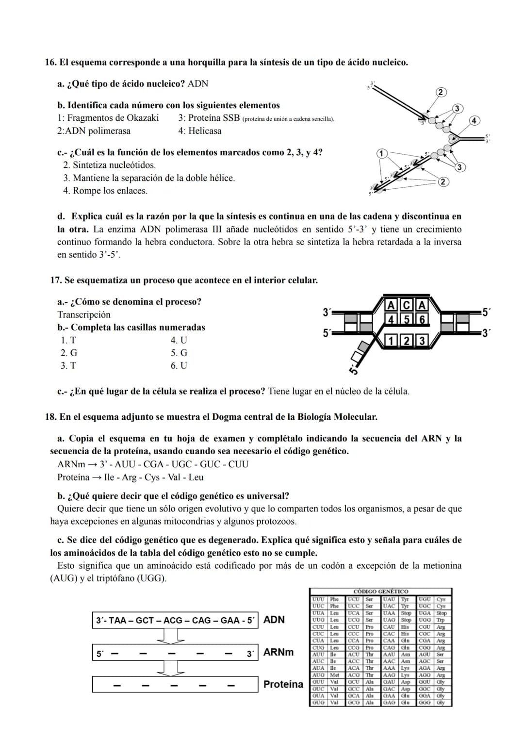 PREGUNTAS GENÉTICA MOLECULAR
1. Los procesos patológicos humanos, que dependen de la expresión de los genes, a menudo
muestran fallos celula