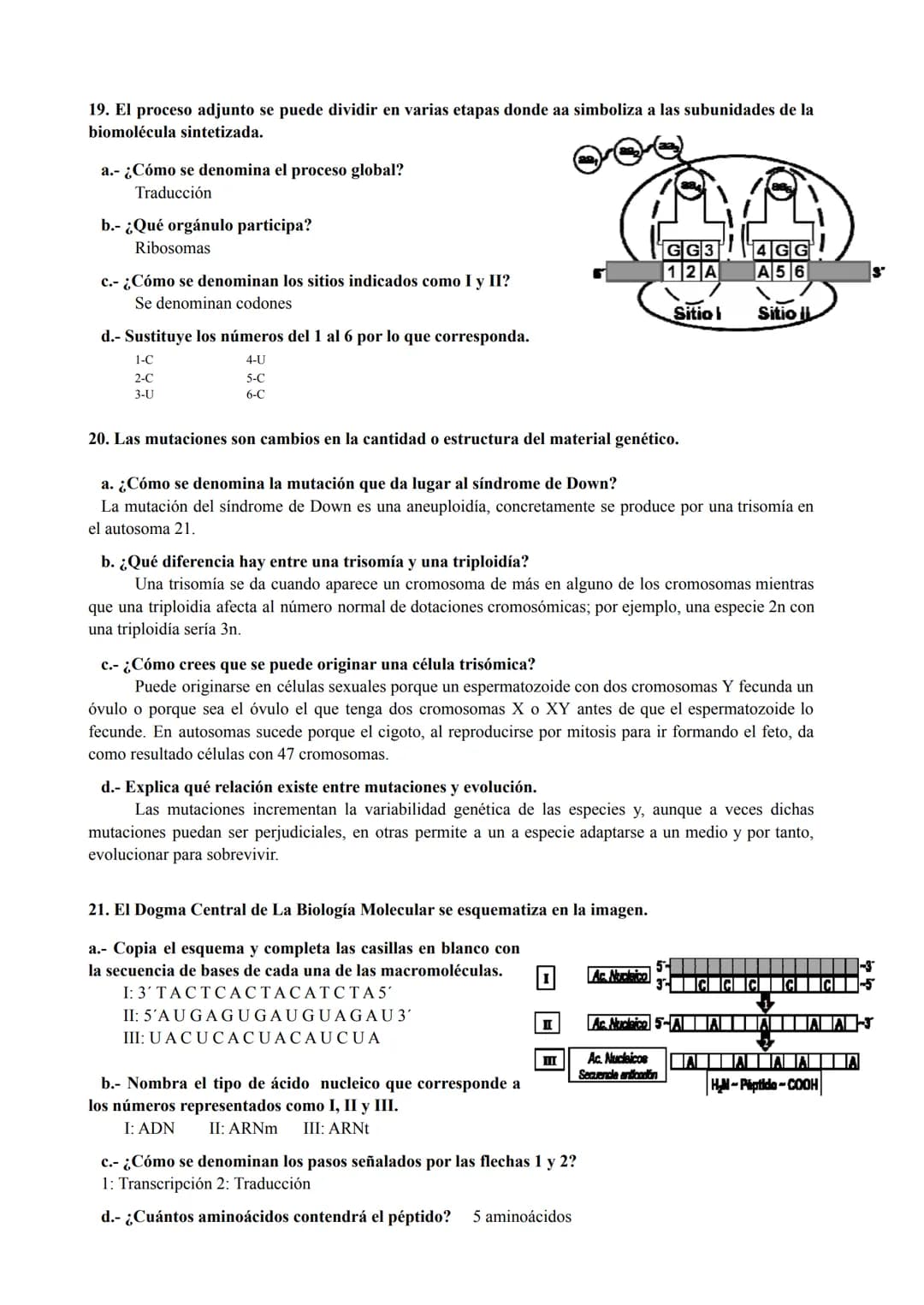 PREGUNTAS GENÉTICA MOLECULAR
1. Los procesos patológicos humanos, que dependen de la expresión de los genes, a menudo
muestran fallos celula
