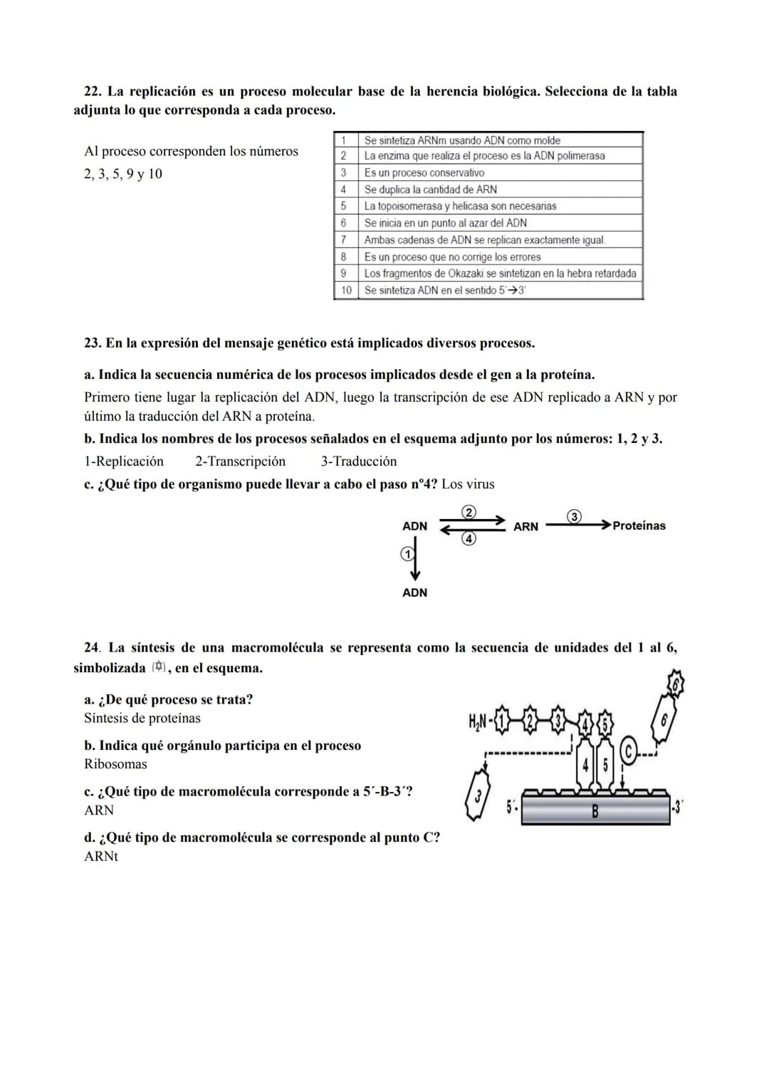 PREGUNTAS GENÉTICA MOLECULAR
1. Los procesos patológicos humanos, que dependen de la expresión de los genes, a menudo
muestran fallos celula