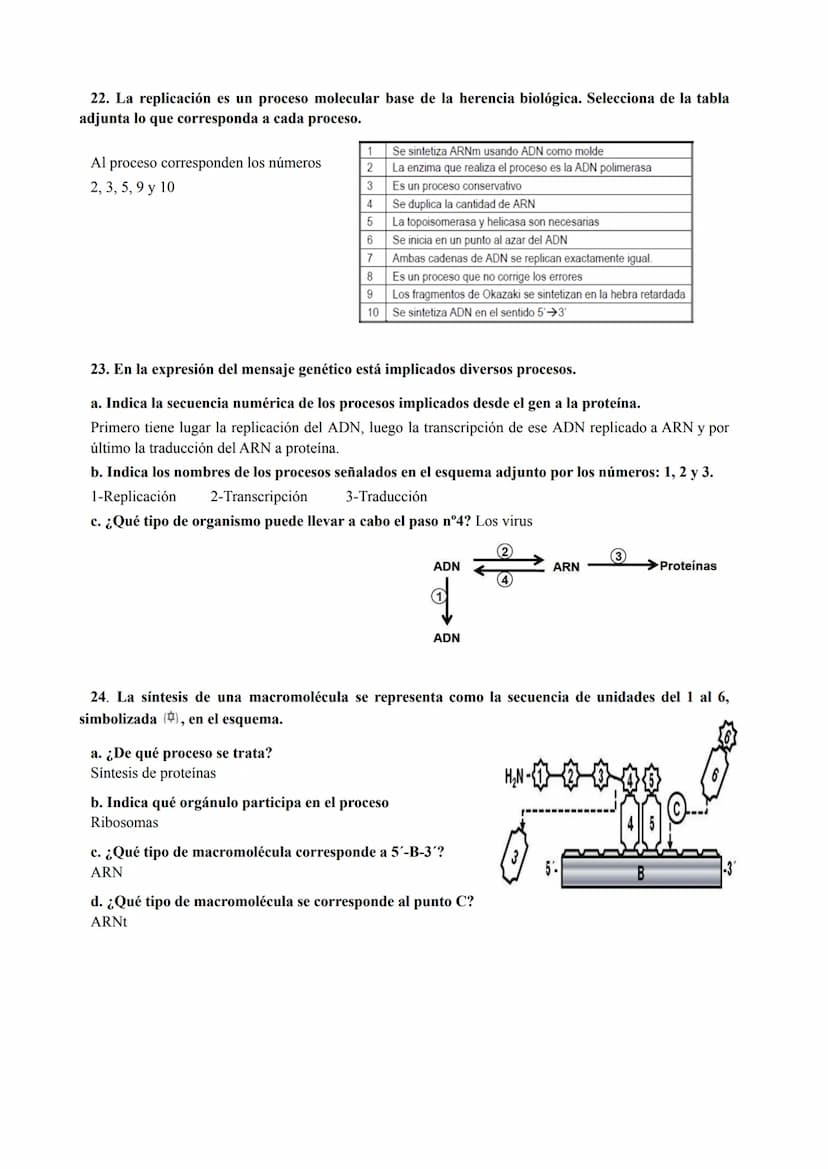 PREGUNTAS GENÉTICA MOLECULAR
1. Los procesos patológicos humanos, que dependen de la expresión de los genes, a menudo
muestran fallos celula