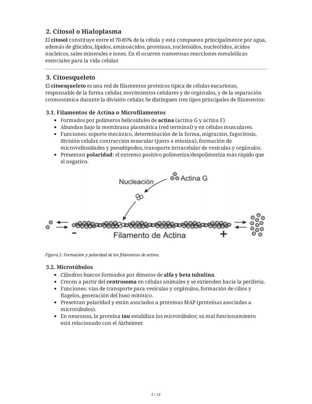 Tema 8: Orgánulos Celulares I
1. Introducción y Organización Celular
El estudio de los orgánulos celulares es fundamental para comprender la