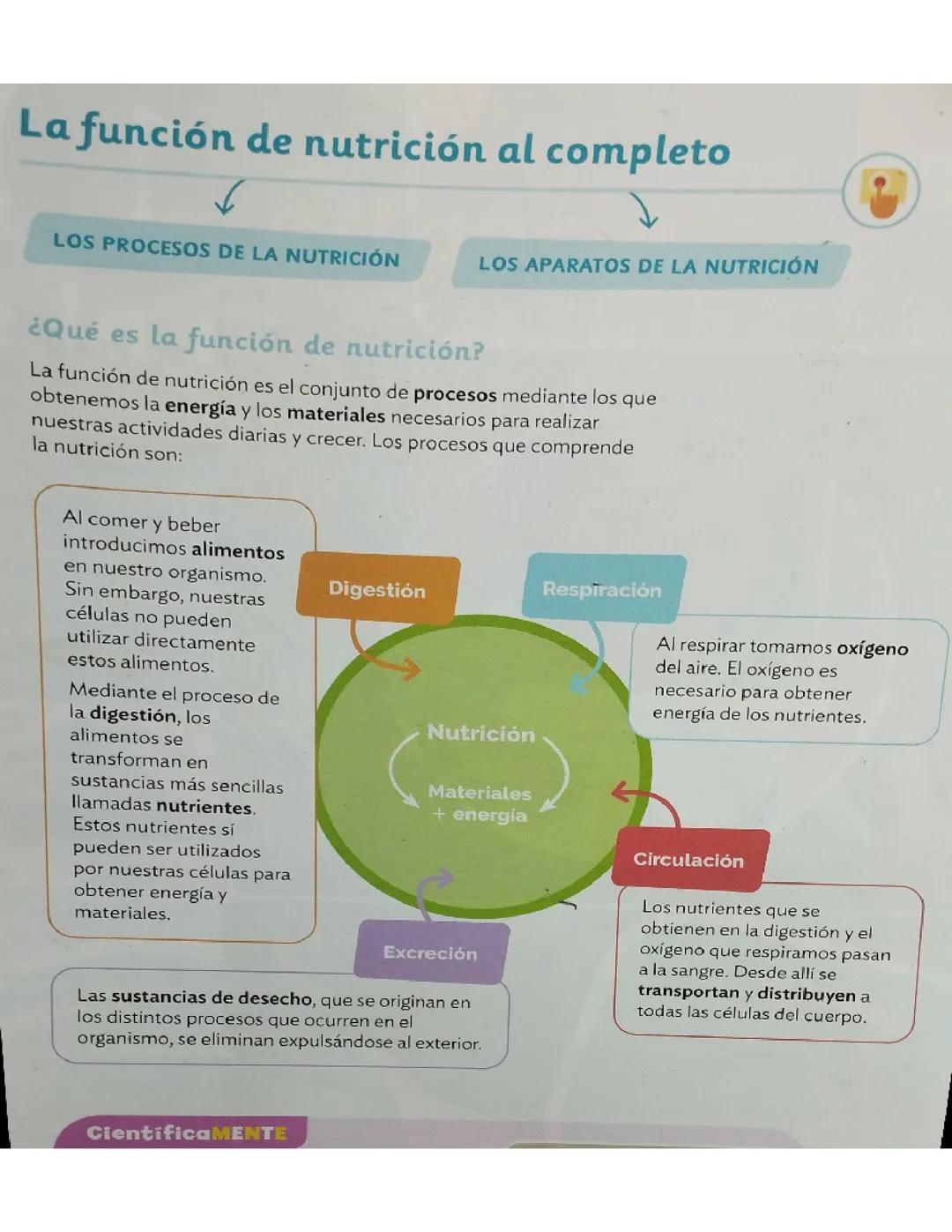 Fundamentos del Conocimiento en Nutrición
