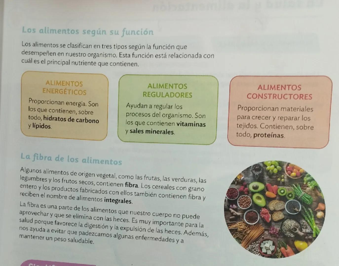 La función de nutrición al completo
LOS PROCESOS DE LA NUTRICIÓN
LOS APARATOS DE LA NUTRICIÓN
¿Qué es la función de nutrición?
La función de