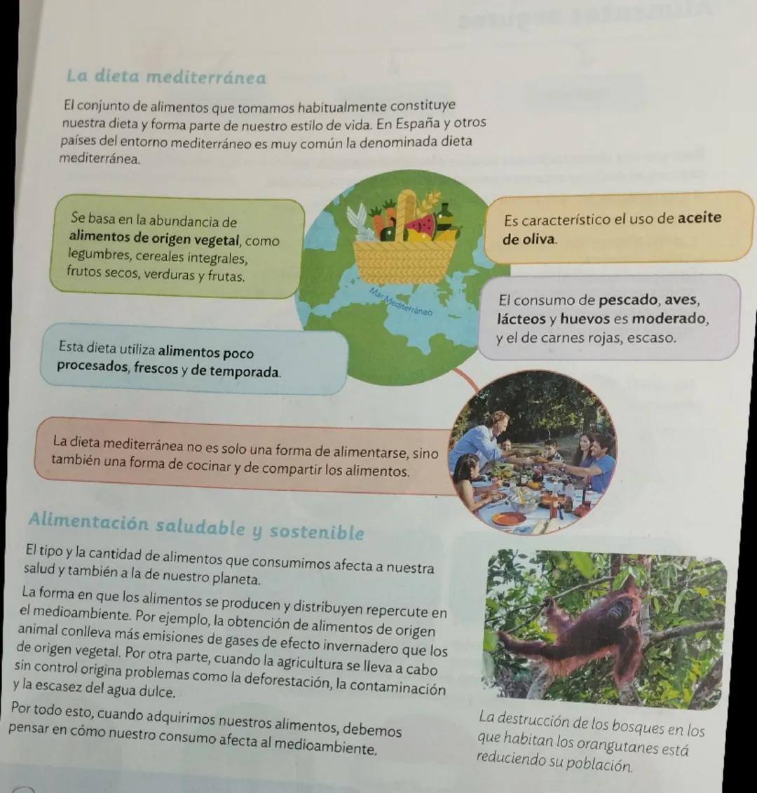 La función de nutrición al completo
LOS PROCESOS DE LA NUTRICIÓN
LOS APARATOS DE LA NUTRICIÓN
¿Qué es la función de nutrición?
La función de