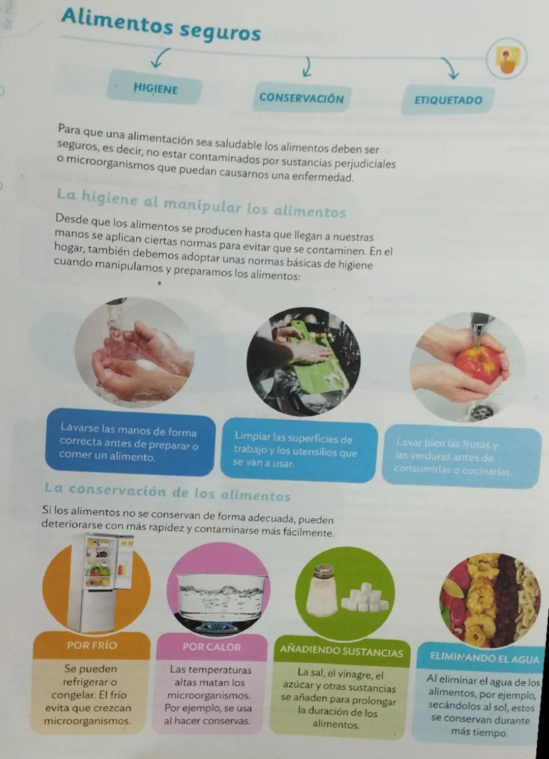 La función de nutrición al completo
LOS PROCESOS DE LA NUTRICIÓN
LOS APARATOS DE LA NUTRICIÓN
¿Qué es la función de nutrición?
La función de