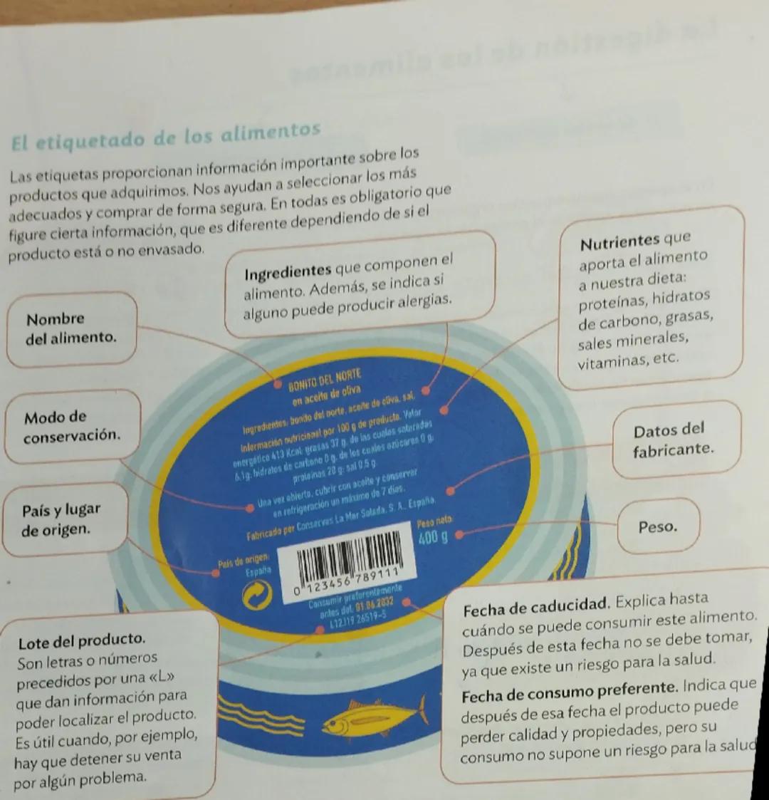 La función de nutrición al completo
LOS PROCESOS DE LA NUTRICIÓN
LOS APARATOS DE LA NUTRICIÓN
¿Qué es la función de nutrición?
La función de