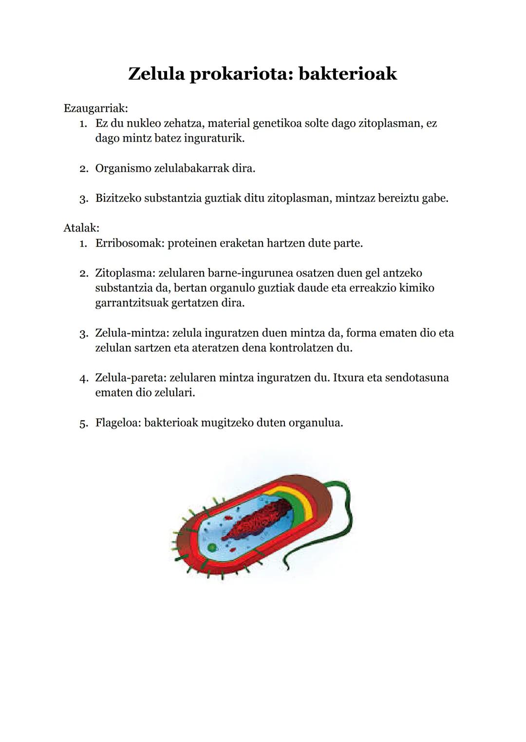 Teoria Zelularra
Oinarriak:
1. Izaki bizidun guztiak zelulaz osatuta gaude.
2. Zelulek 3 bizi funtzioak betetzen dituzte:
a. Nutrizioa: ener