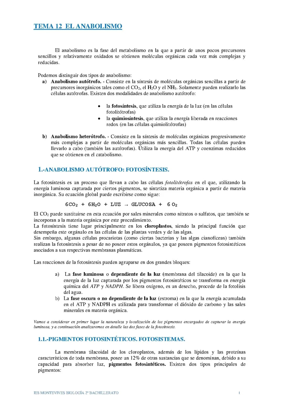Anabolismo